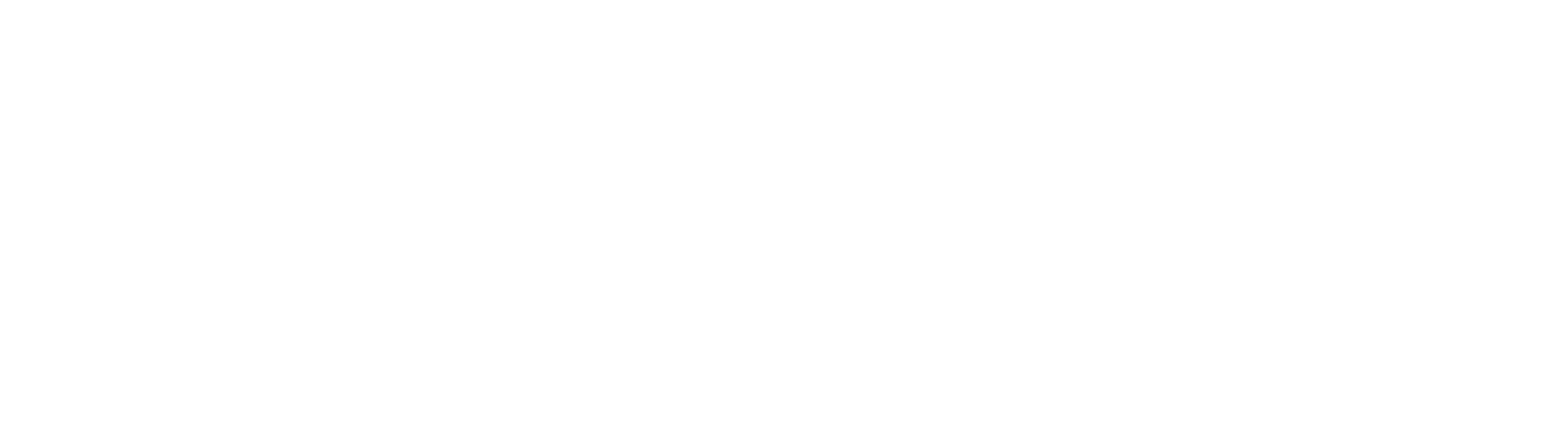 XWIKI Logo