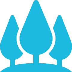 Bäume pflanzen – Klimaschutz